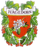 Hagedorn (Stadt Steinheim)